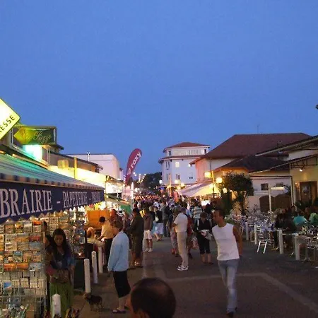 La Cabane De Lagunak~quartier Tres Calme Mimizan-Plage